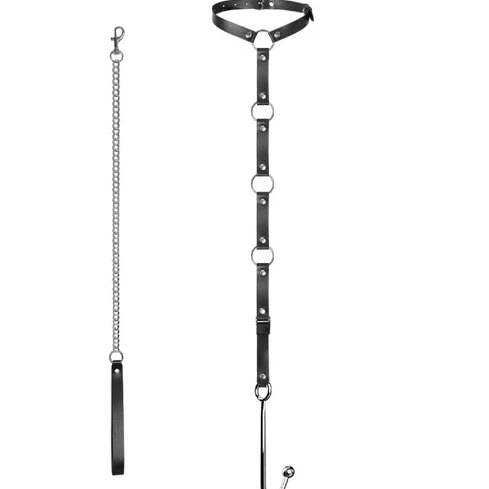 and EverydayUse Anal Kinky 5853 Hook with Collar Leash 0706